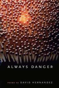Enlarge image Cover: Always Danger - Southern Illinois University Press