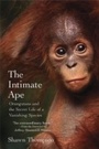 Cover: Intimate Ape - Citadel