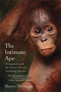 Enlarge image Cover: Intimate Ape - Citadel