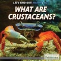 Cover: What Are Crustaceans? - Rosen Education Service