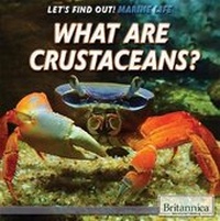 Enlarge image Cover: What Are Crustaceans? - Rosen Education Service
