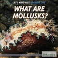 Cover: What Are Mollusks? - Rosen Education Service