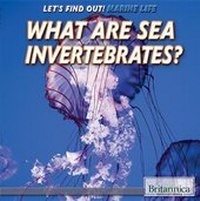 Enlarge image Cover: What Are Sea Invertebrates? - Rosen Education Service