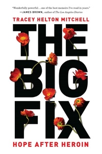 Enlarge image Cover: The Big Fix - Seal Press