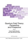 Cover: Quantum Field Theory: Perspective and Prospective - Springer