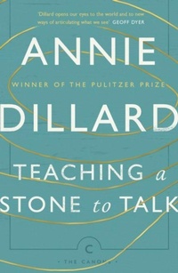 Enlarge image Cover: Teaching a Stone to Talk - Canongate Canons