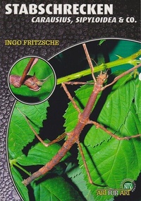 Abbildung von: Stabschrecken - Natur und Tier