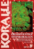 Cover: Grosspolypige Steinkorallen im Meerwasseraquarium - Natur und Tier