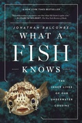 Cover: What a Fish Knows - Scientific American