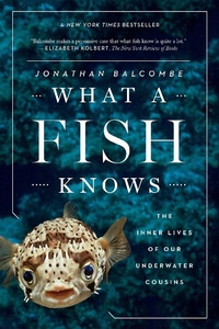 Abbildung von: What a Fish Knows - Scientific American