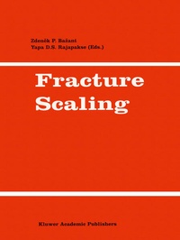 Enlarge image Cover: Fracture Scaling - Springer
