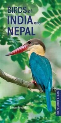 Abbildung von: Pocket Photo Guide to the Birds of India and Nepal - Bloomsbury Natural History