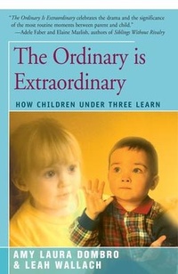 Enlarge image Cover: The Ordinary is Extraordinary - Open Road Integrated Media LLC