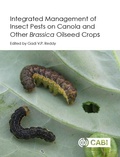 Cover: Integrated management of Insect Pests on Canola and other Brassica Oilseed Crops - CABI Publishing