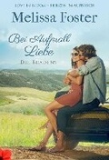 Cover: Bei Aufprall Liebe: Volume 6 - Everafter Romance