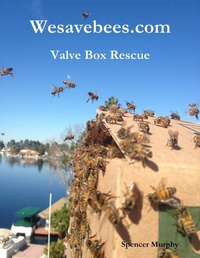 Enlarge image Cover: Wesavebees.com: Valve Box Rescue - Lulu.com