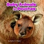 Cover: Baby Animals in Pouches - Raintree