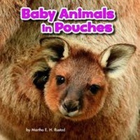 Enlarge image Cover: Baby Animals in Pouches - Raintree