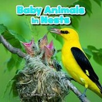 Enlarge image Cover: Baby Animals in Nests - Raintree