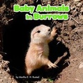 Cover: Baby Animals in Burrows - Raintree