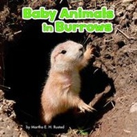 Enlarge image Cover: Baby Animals in Burrows - Raintree