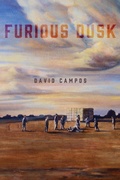 Cover: Furious Dusk - University of Notre Dame Press