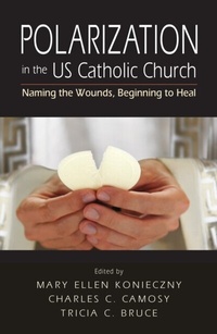 Abbildung von: Polarization in the US Catholic Church - Liturgical Press