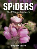 Cover: Spiders - Firefly Books