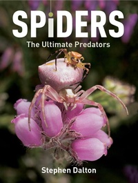 Enlarge image Cover: Spiders - Firefly Books