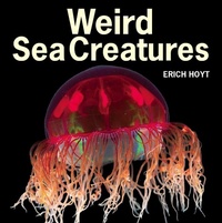 Enlarge image Cover: Weird Sea Creatures - Firefly Books
