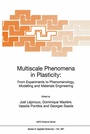 Cover: Multiscale Phenomena in Plasticity: From Experiments to Phenomenology, Modelling and Materials Engineering - Kluwer Academic Publishers