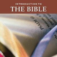 Enlarge image Cover: Introduction to the Bible - Liturgical Press