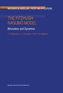 Cover: The FitzHugh-Nagumo Model - Springer