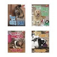 Enlarge image Cover: Pets Undercover! - Raintree