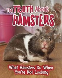 Enlarge image Cover: The Truth about Hamsters - Raintree