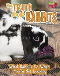Cover: The Truth about Rabbits - Raintree