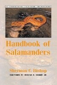 Abbildung von: Handbook of Salamanders - Comstock Publishing Associates