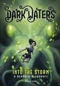 Cover: Into the Storm - Stone Arch Books