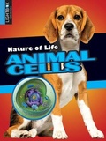Cover: Animal Cells - Lightbox