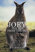 Cover: Joey, the Boy from the Sky - Xlibris