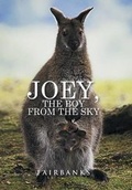 Cover: Joey, the Boy from the Sky - Xlibris