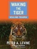 Cover: Waking the Tiger - Tantor Media, Inc