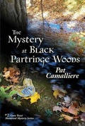 Cover: The Mystery at Black Partridge Woods - Amika Press