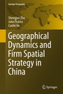 Cover: Geographical Dynamics and Firm Spatial Strategy in China - Springer