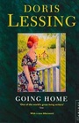Cover: Going Home - Flamingo