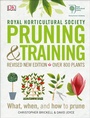 Cover: RHS Pruning and Training - DK