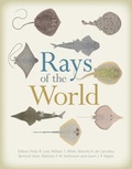 Cover: Rays of the World - CSIRO Publishing