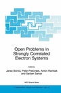 Cover: Open Problems in Strongly Correlated Electron Systems - Springer