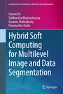 Cover: Hybrid Soft Computing for Multilevel Image and Data Segmentation - Springer