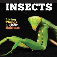 Enlarge image Cover: Insects - The Secret Book Company